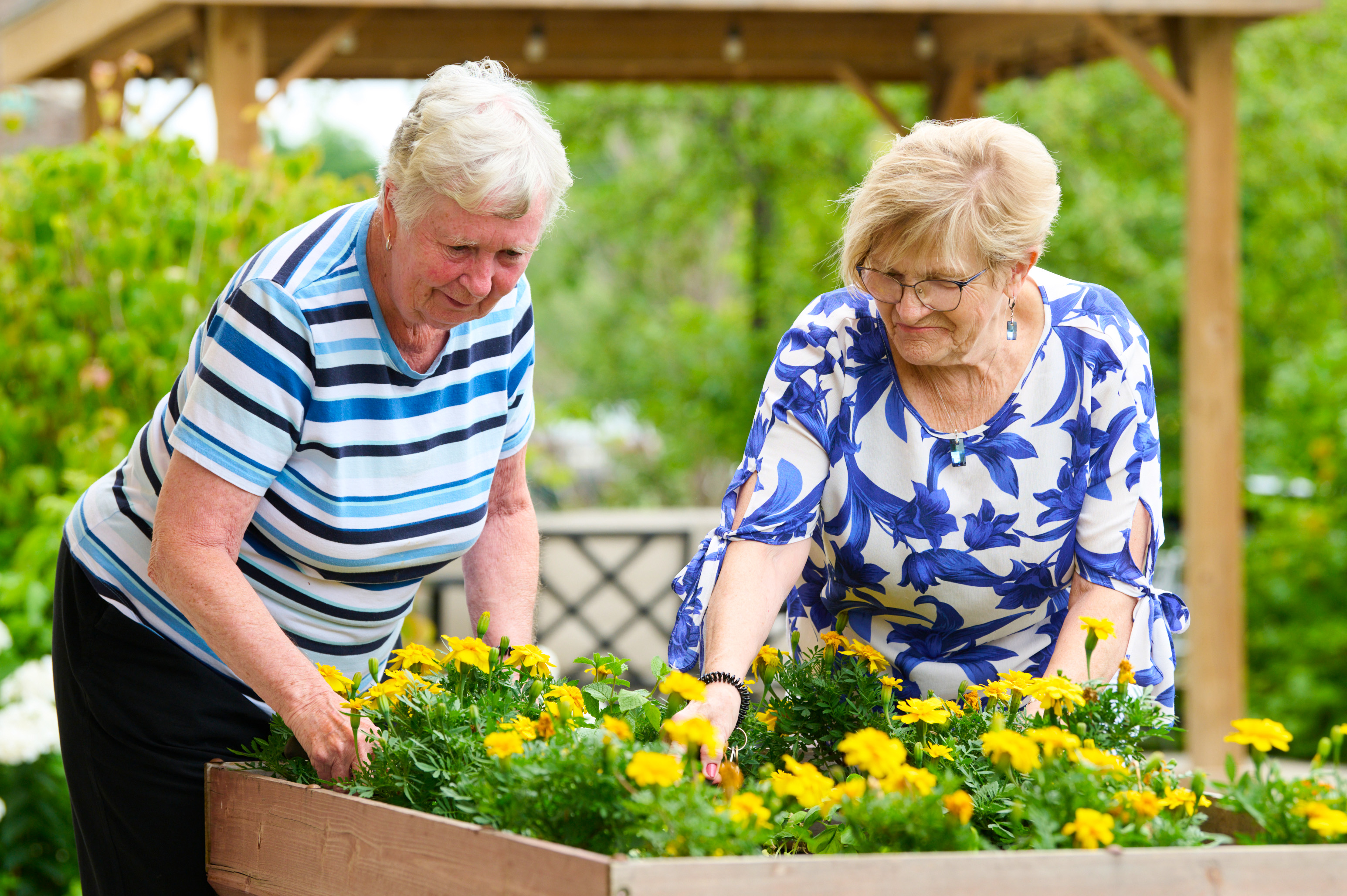 Gardening