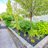 Garden at Aspira Heatherwood Retirement Living