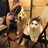 Geoff and Sawyer