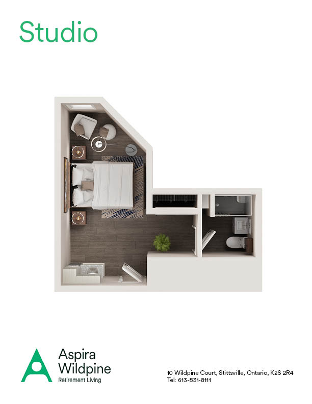 Aspira Wildpine - Studio